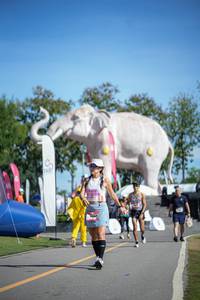 BIB: 
                            <button type="button" onclick="openModal(26543383)" class="btn btn-primary btn-sm float-right btn-popup" data-toggle="modal" data-target=".modal-high-quality">
                        <i class="fas fa-shopping-cart"></i> Add to Cart
                    </button>
                                            <button type="button" onclick="isThisMe(26543383, true)" class="btn btn-success btn-sm float-right btn-popup btn-isme hidden" data-toggle="tooltip" data-placement="bottom" title="นี่คือรูปของคุณใช่ไหม คลิกที่นี่เพื่อเอาเข้าอัลบั้ม">
                        <i class="fas fa-plus"></i> Add to album
                    </button>
                    <button type="button" onclick="isThisMe(26543383, false)" class="btn btn-warning btn-sm float-right btn-popup btn-isnotme hidden">
                        <i class="fas fa-ban"></i> Remove from album
                    </button>